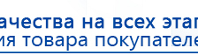 Пояс электрод для аппаратов Скэнар купить в Рыбинске, Выносные электроды купить в Рыбинске, Нейродэнс ПКМ официальный сайт - denasdevice.ru